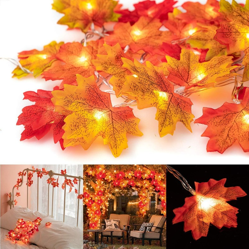 Fairy Lights - Autumn Decoration Lights | 50% OFF 0