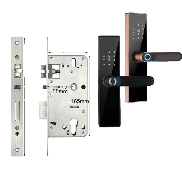 Smart Door Lock, Wifi Connectivity, Fingerprint Recognition