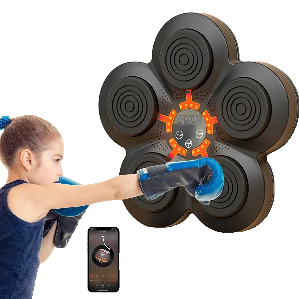 Boxing Target, LED Lighted, Reaction Training