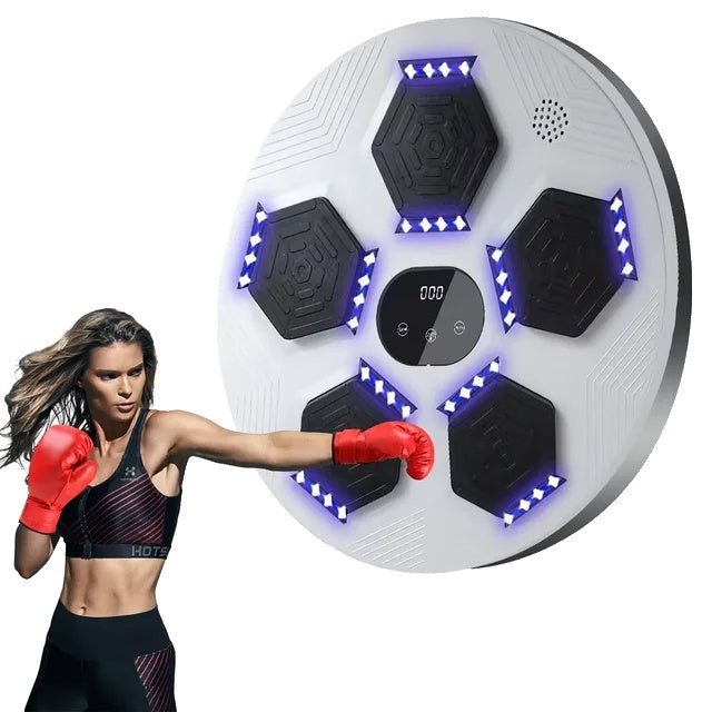 Boxing Target, LED Lighted, Reaction Training