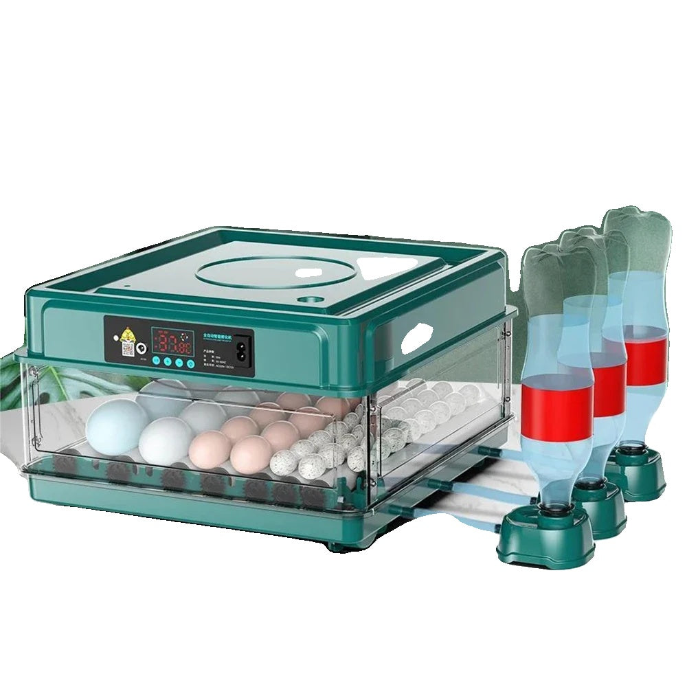 Automatisk äggkläckare, lådtypdesign, automatisk vattenpåfyllning