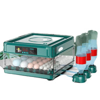 Automaattinen munien hautomo, laatikkotyyppinen muotoilu, automaattinen veden täyttö