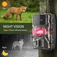 Wildlife Jacht Camera, Beeldkwaliteit van 16MP, Bewegingsgeactiveerd