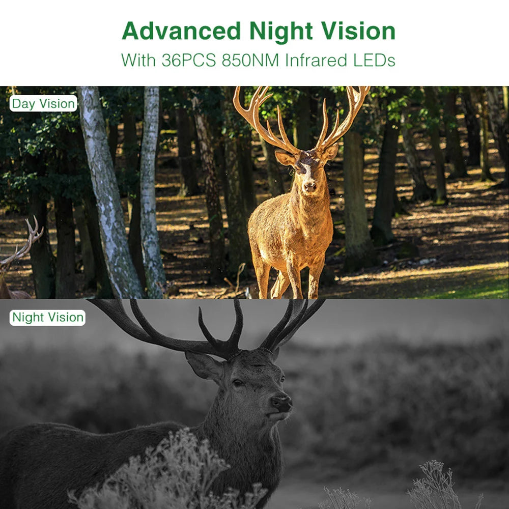 Hunting Camera, Solar Panel, Night Vision