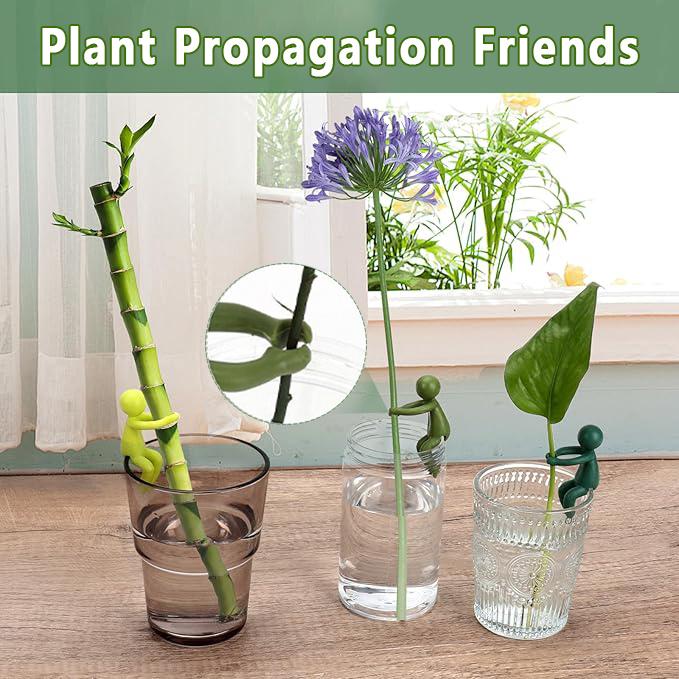 3+3 Free | FlowerBracelet™ Supports plant growth 1