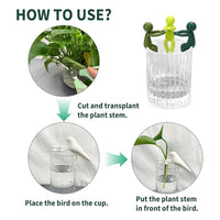 3+3 Free | FlowerBracelet™ Supports plant growth 4