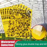 Insect Traps, Double-sided Sticky, Pest Control