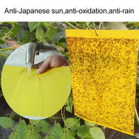 Insect Traps, Double-sided Sticky, Pest Control