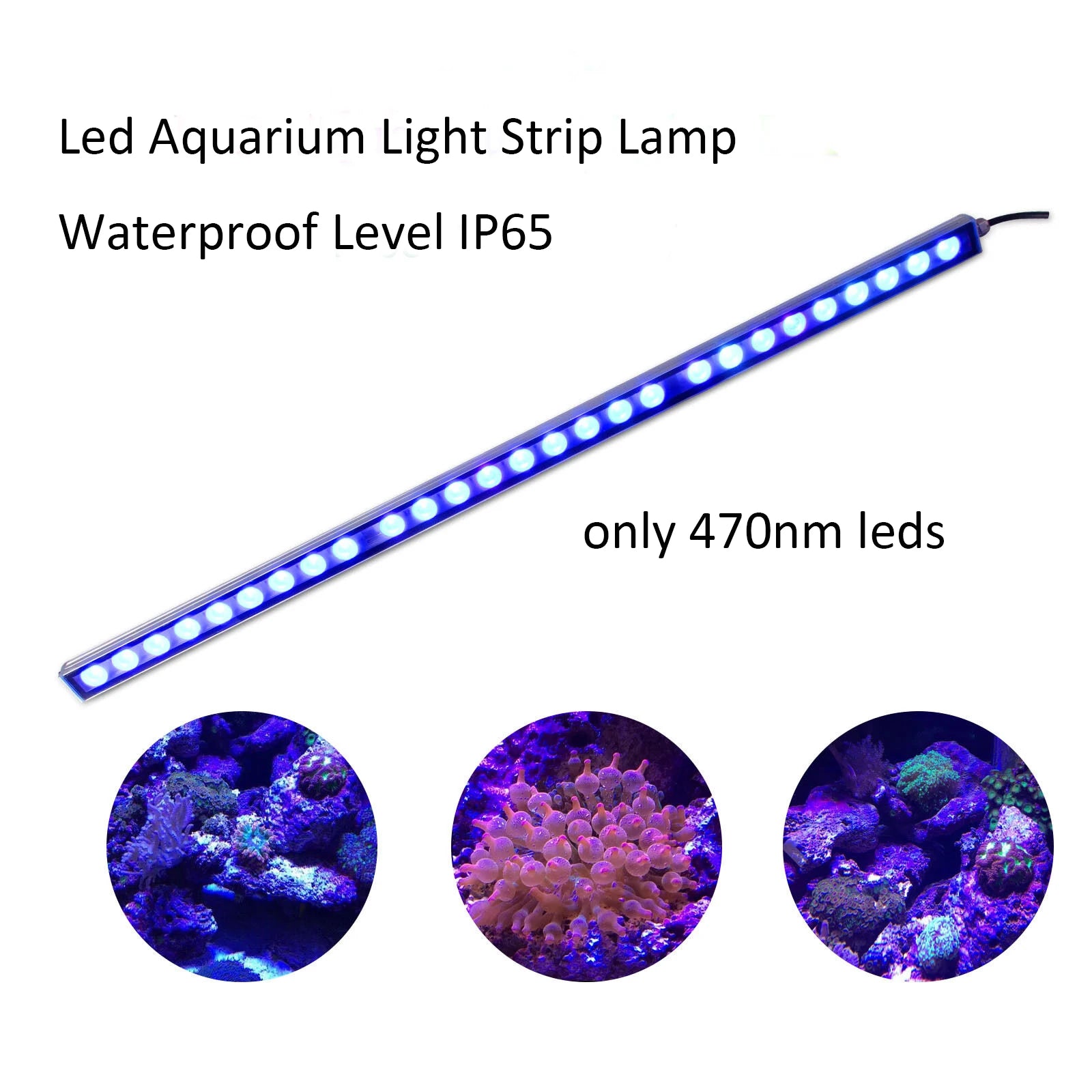 LED Aquariumverlichting, IP65 Waterdicht, Groei Kasverlichting