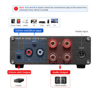 Amplificator de putere, 300Wx2, Clasa D