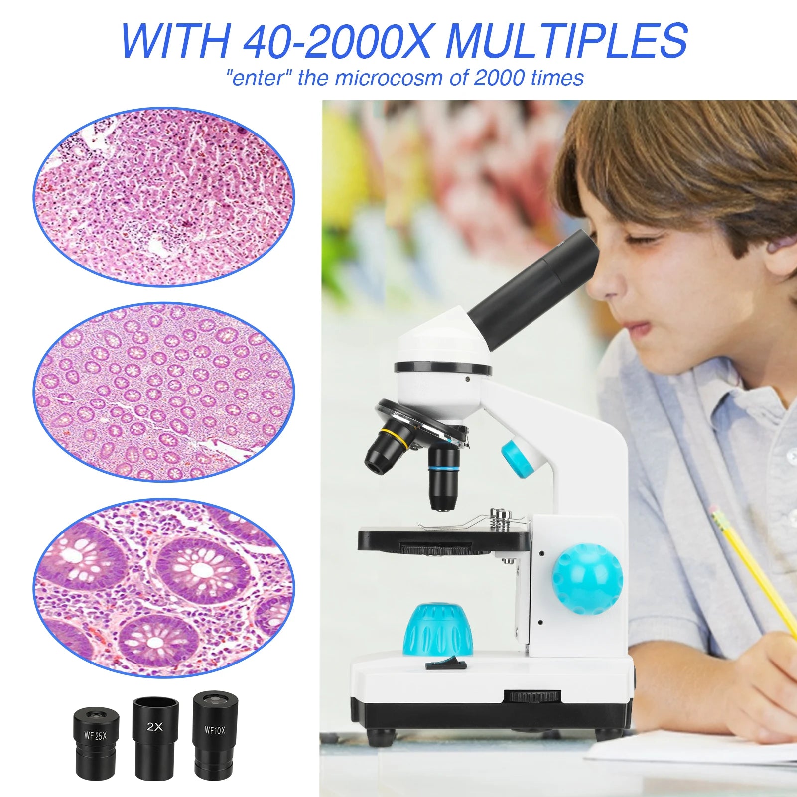 Biological Microscopes, 100X-2000X Magnification, Phone Adapter