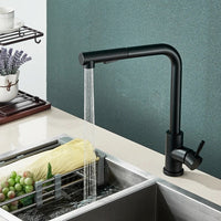 Kitchen Sink Faucet, Pull Out, Stainless Steel