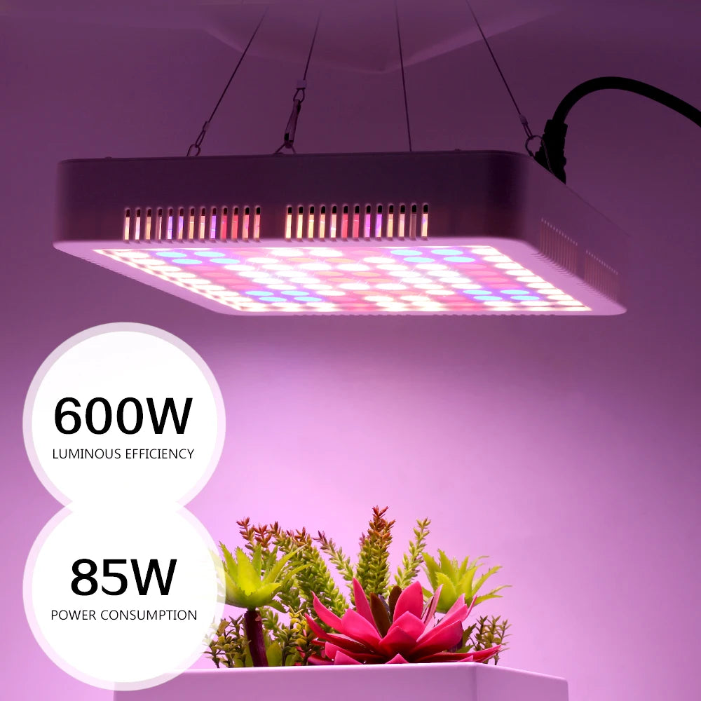 LED Kweeklamp, Volledig Spectrum, Hoge Helderheid