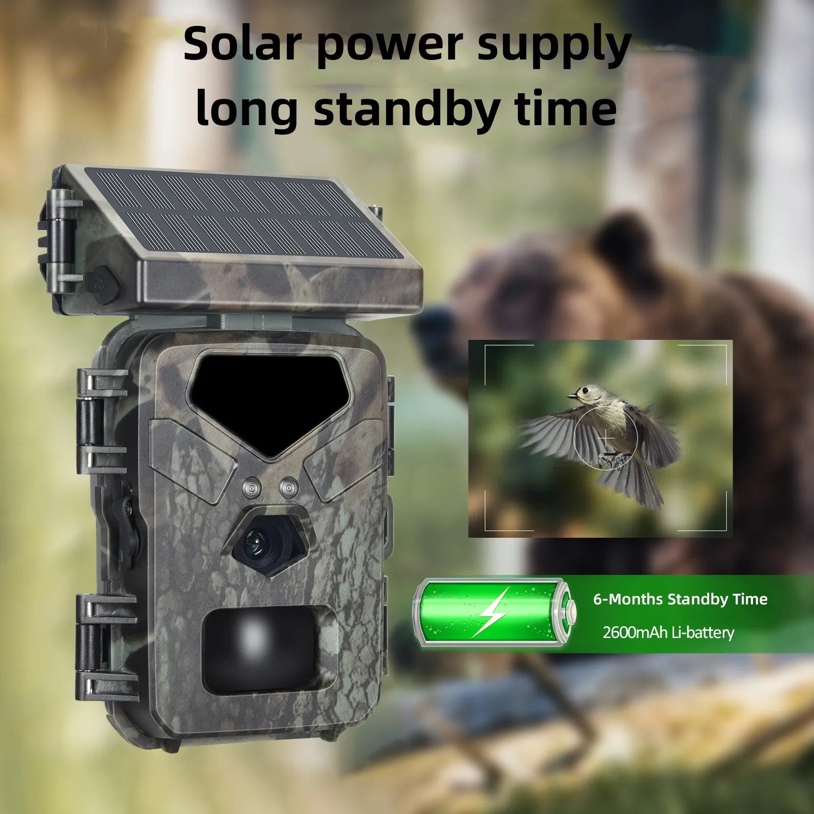 Hunting Camera, Infrared Night Vision, Solar Charging