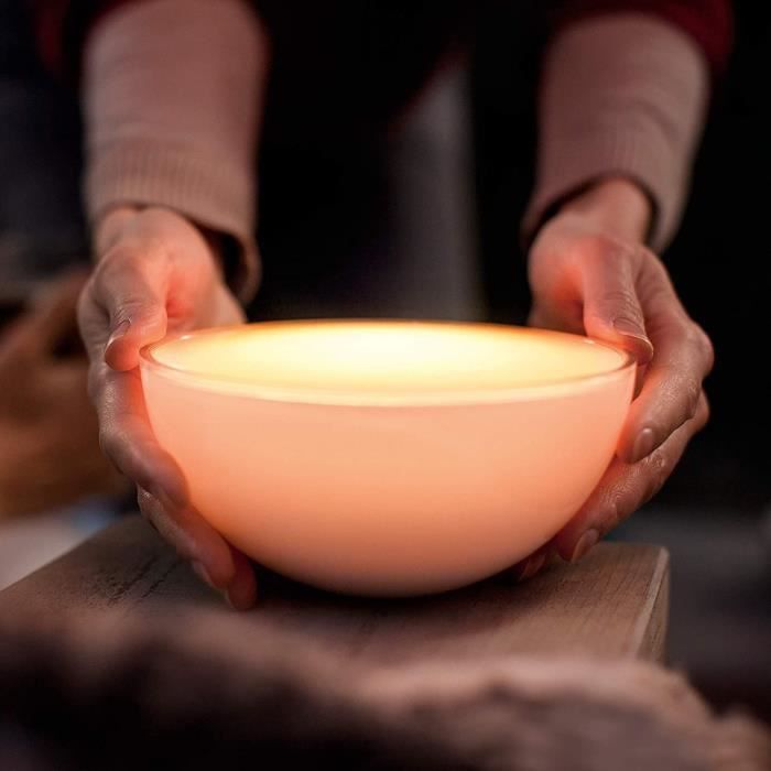 Philips Hue Go Lampe connected portable White and Color Compatible Bluetooth, works with Alexa, Google and Apple Homekit