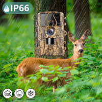 Outdoor Trail Camera, WIFI Connectivity, Night Vision Technology