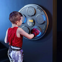 Boxing Target, LED Lighted, Reaction Training