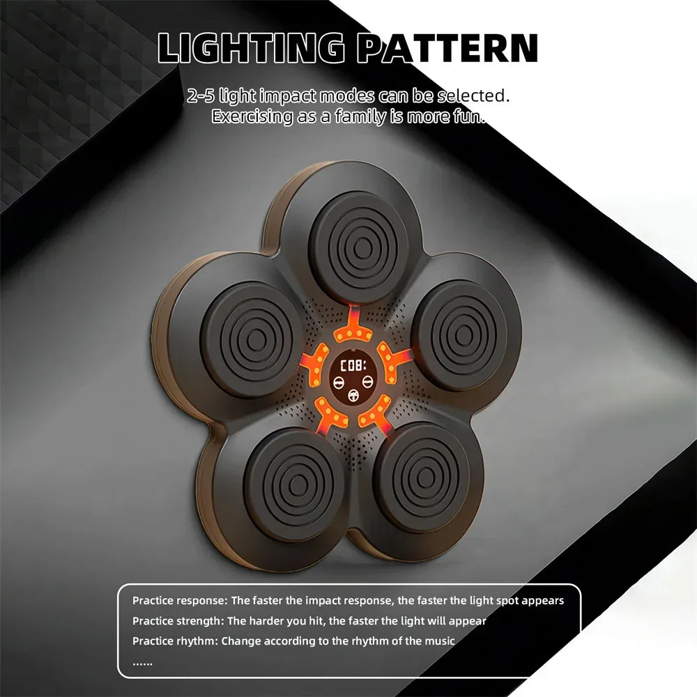 Boxing Target, LED Lighted, Reaction Training