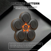 Boxing Target, LED Lighted, Reaction Training