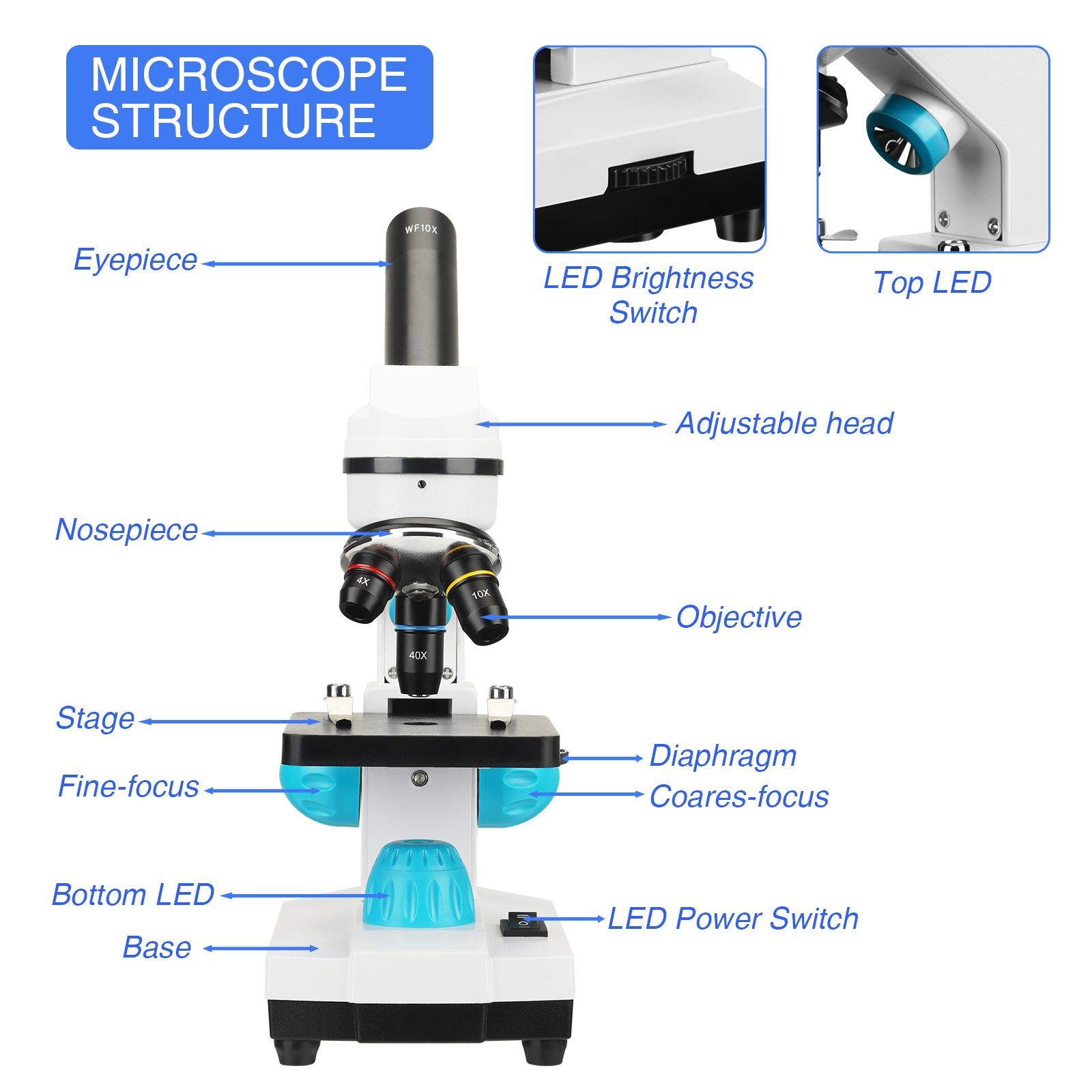 Mikroskooppi, Ammattimainen Biologinen, Koulun Laboratorio