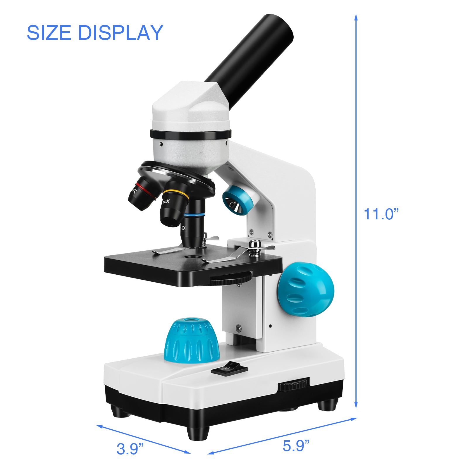 Mikroskop, professionell biologisch, Schul-Labor