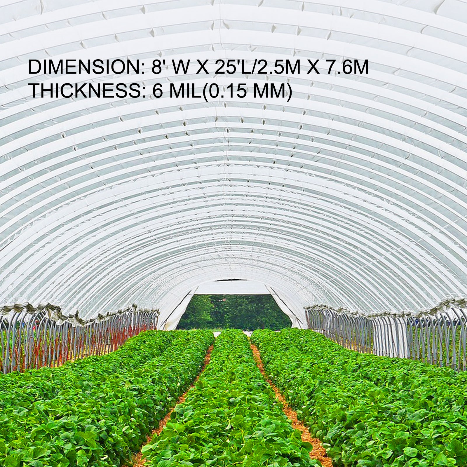 Greenhouse Polyethylene Film, 6 Mil Thickness, UV Resistant, Easy Unfolding